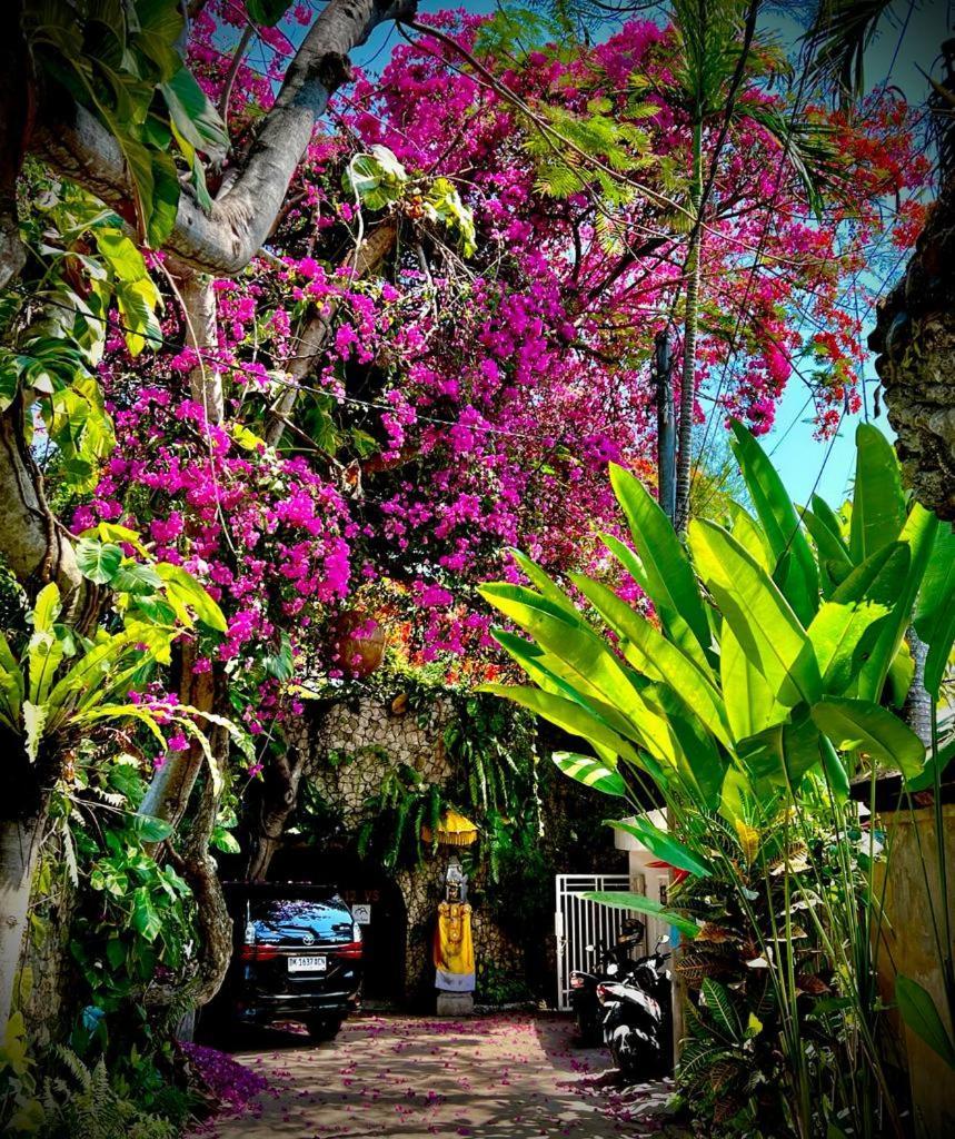 Exquisite Private Villa — Villa Sekala, Sanur, Se Bali Экстерьер фото